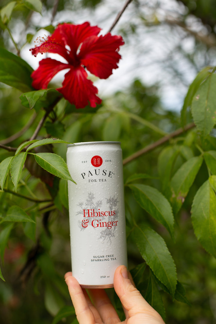 PAUSE for Tea: Hibiscus & Ginger Sugar-Free Sparkling Tea