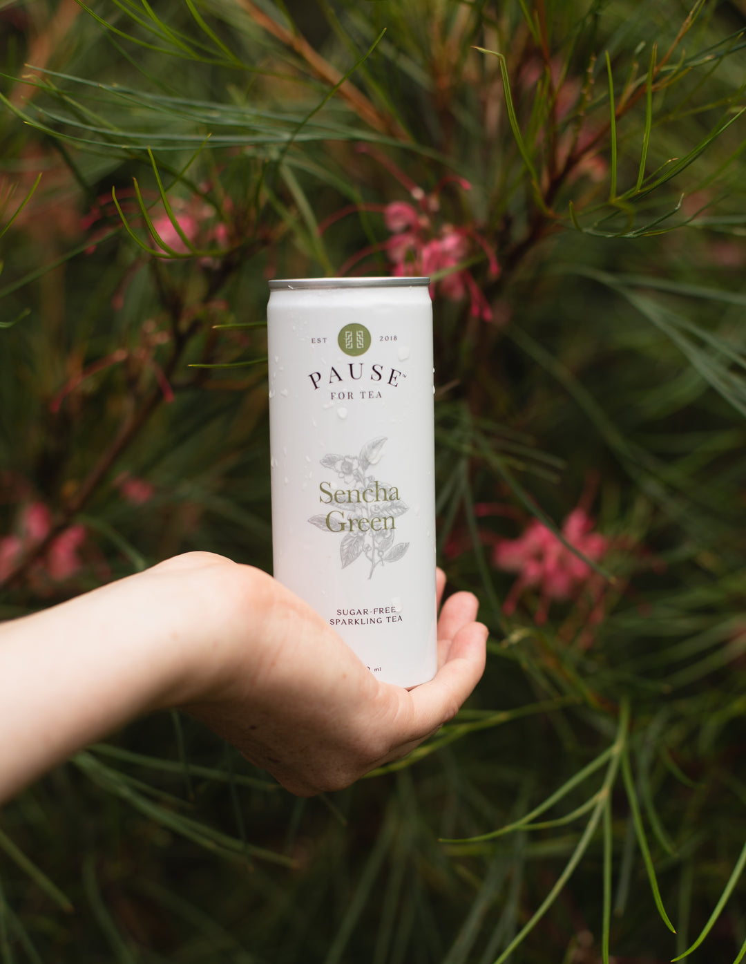 PAUSE for Tea: Sencha Green Sugar-Free Sparkling Tea